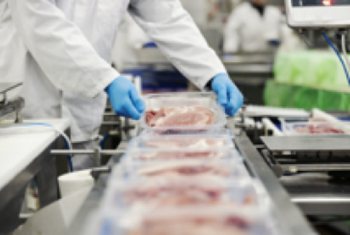 Gloved hands of a person making a product inspection of packaged products on an industrial production line